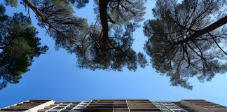 M-we rent - Kompleksowa obsługa wynajmu mieszkań.jpg